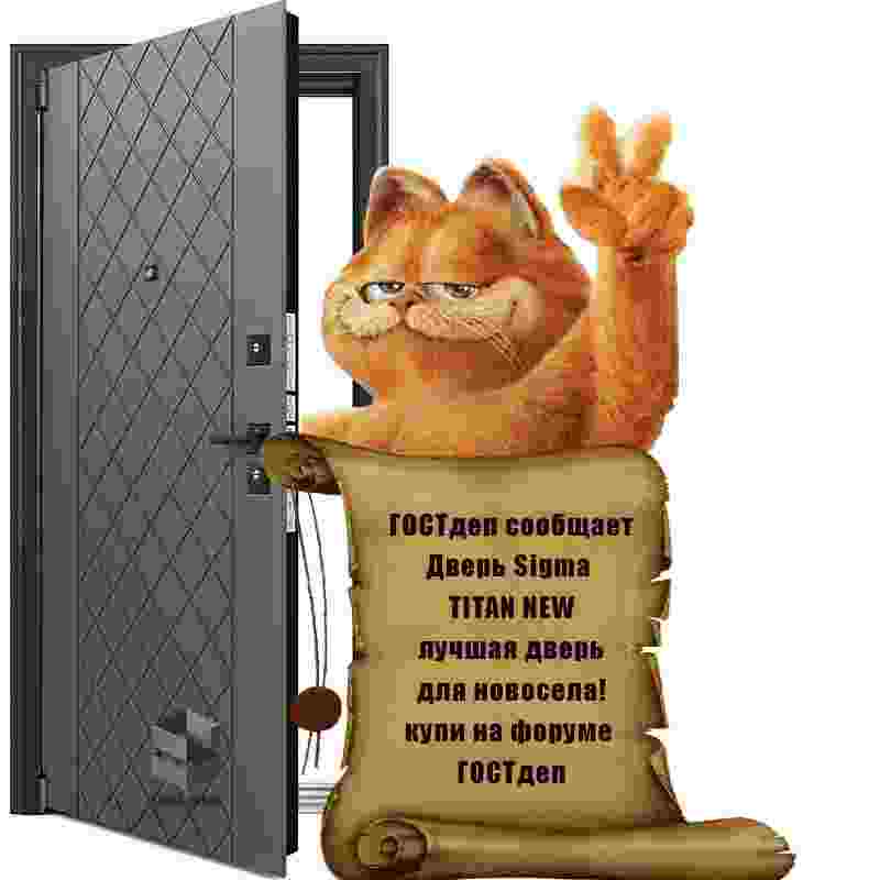 Дверь Sigma TITAN NEW текст с котом.jpg